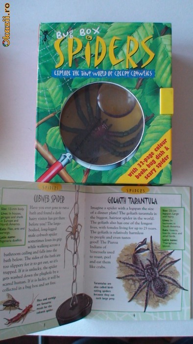 BUG BOX - jucarie/carte - SPIDERS foto mare