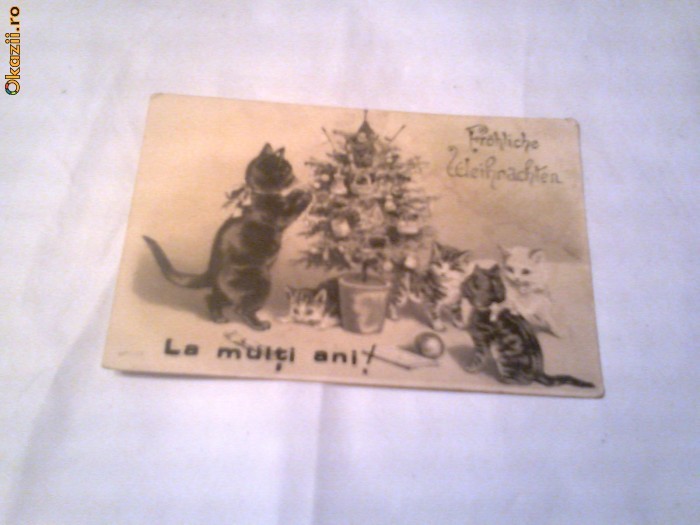 Carte Postala - Pisicute si impodobirea braduletului foto mare