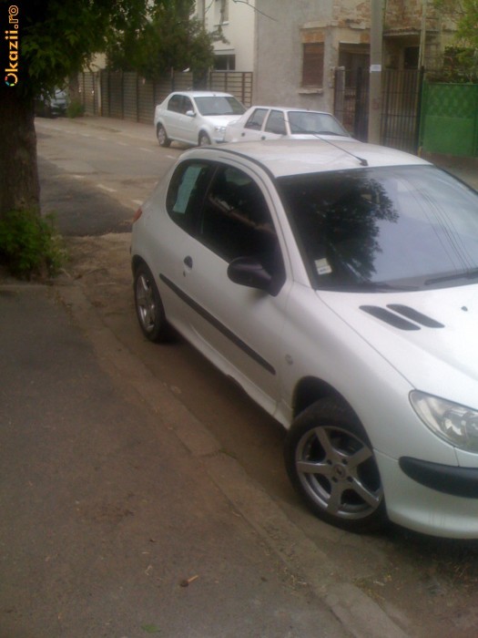 peugeot 206 foto mare