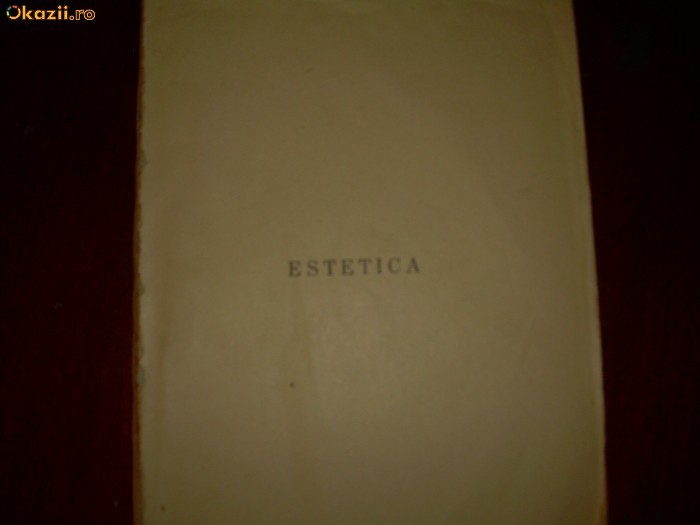 Estetica Tudor Vianu foto mare
