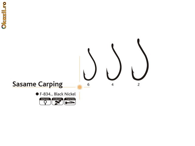 CARLIG SASAME CARPING foto mare