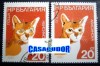 S369 1983 BULGARIA PISICA ABYSINIANA eroare de imprimare obliter