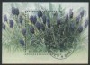 AZERBAIDJAN 1993 -  FLORI DE GRADINA -  colita stampilata