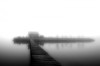 Tablou Fotografie 30x45 cm cu passe partout 50x70 cm