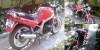Vand Suzuki GS 500 E