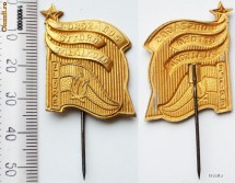 INSIGNA ELORE MARE ** foto