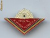 insigna fruntas in munca patriotica insigna fruntas in munca patriotica