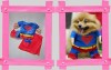 haina - costum SUPERMAN catei / catel / caine, pentru Halloween sau alte ocazii