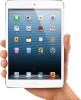 iPad Mini 16GB WiFi ALB 4G | Echipa BOGUS | SIGILAT | STOC | GARANTIE 1 AN - Vanzatorul anului 2013 okazii
