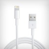 Cablu 8 Pin Lightning USB Apple iPhone 5 iPod Touch 5