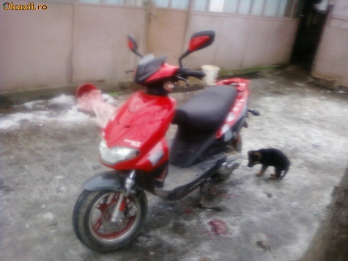 MOPED foto mare MOPED foto mare